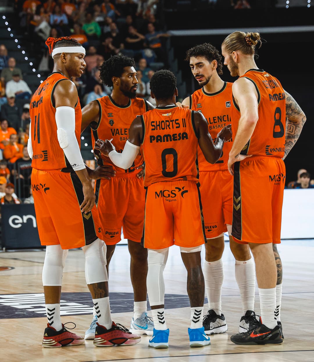 Piña de Valencia Basket