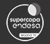 Supercopa Endesa