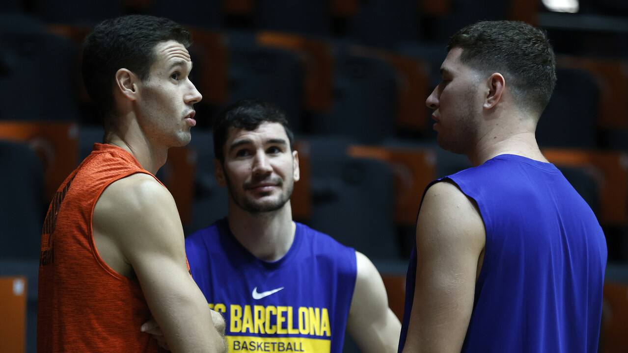 acb Photo / M.A. Polo