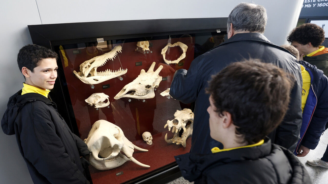 acb Photo / Miguel Ángel Polo