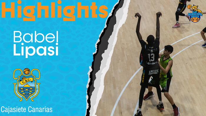 Los vuelos de Babel Lipasi