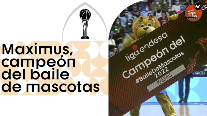 Maximus, ganador del baile de mascotas