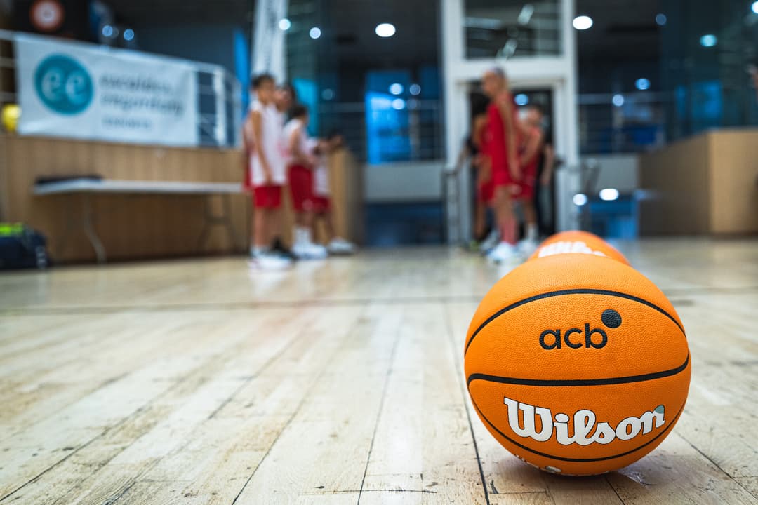 Balón Wilson Liga Endesa
