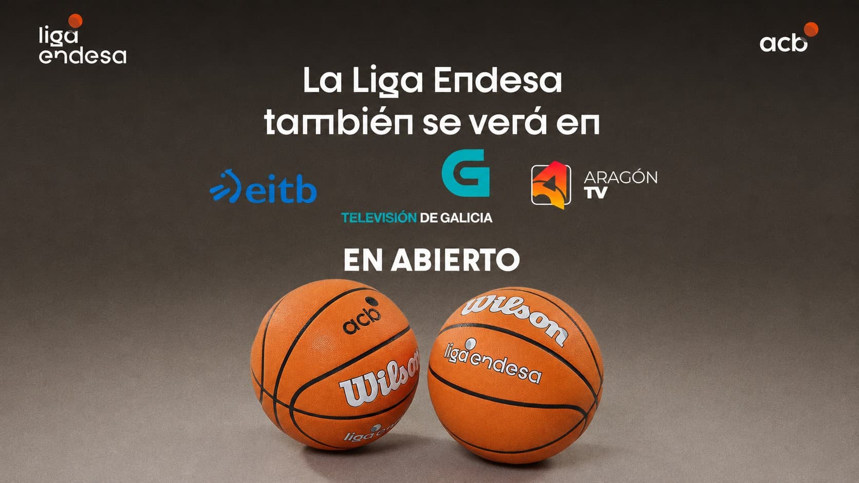 Televisiones de la Liga Endesa