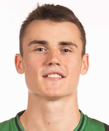 N. Dimitrijevic photo