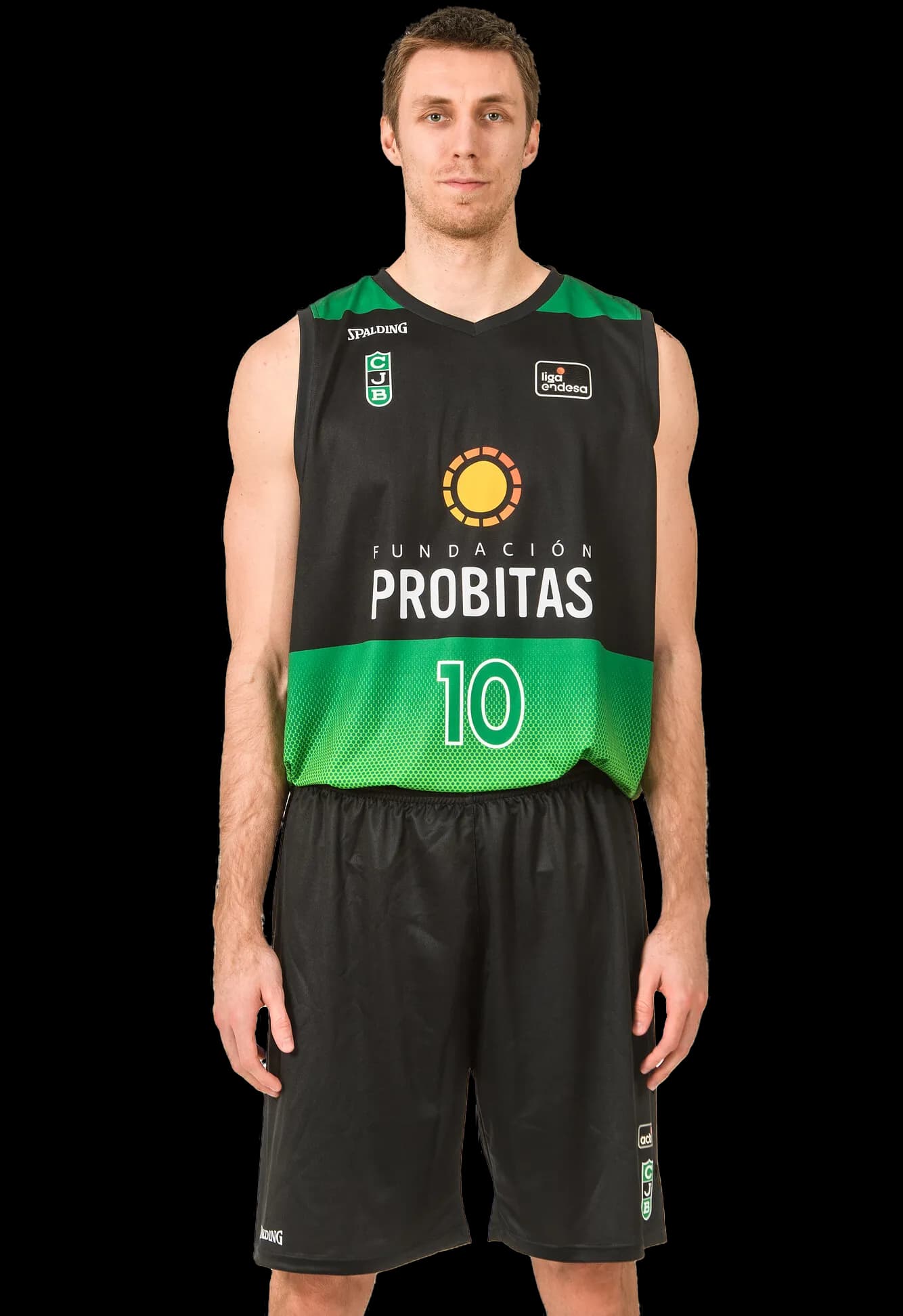 V. Brodziansky photo