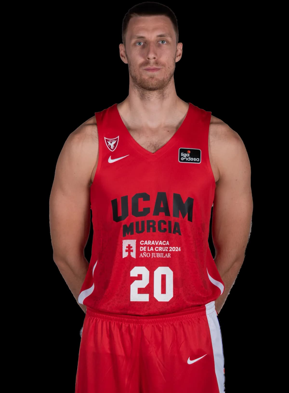 V. Brodziansky photo