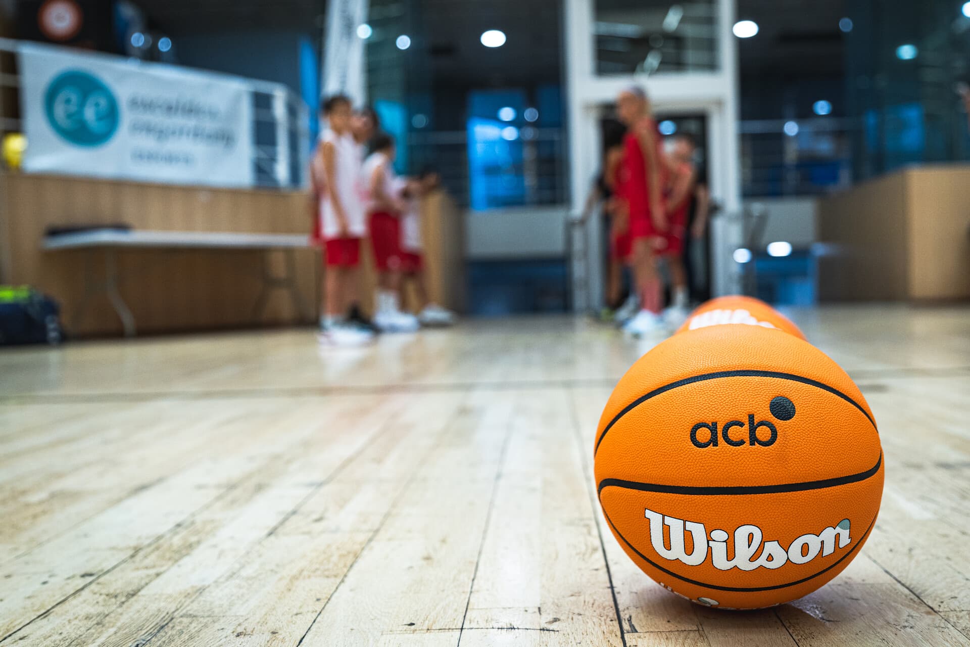 Balón Wilson Liga Endesa