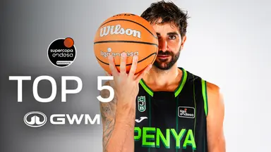 Top5 de GWM